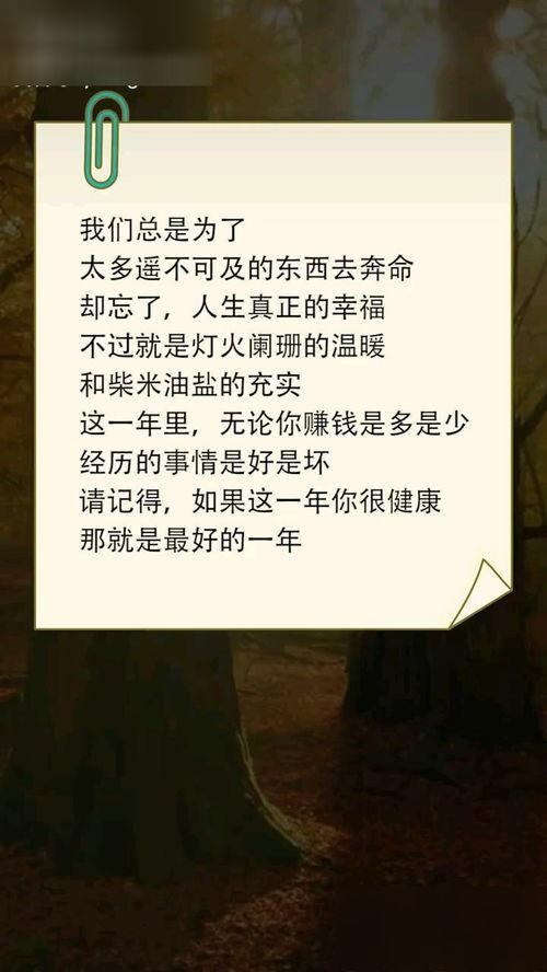 最好的一年,回顾我国最好一年的辉煌成就