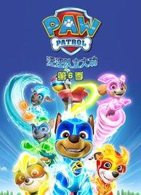 汪汪队立大功 第六季 普通话,智慧解谜——汪汪队立大功第六季