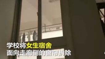 回春公寓房东他开挂了,揭秘神秘房东的逆天操作