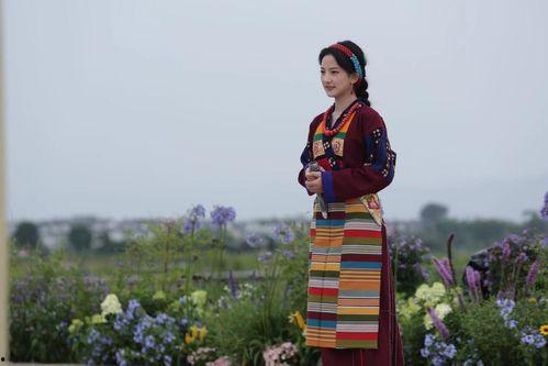 花儿绽放 大理站,探寻古城花海中的浪漫时光