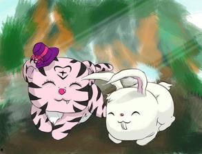 老虎和兔子 第一季,激战正酣，友谊与竞争的较量