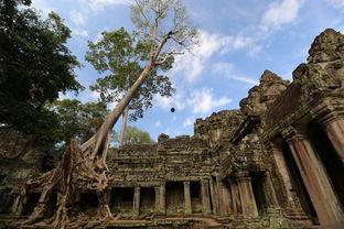 遗迹 2018,历史足迹的深度解读