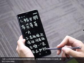 儿子带我走上人生巅峰,共攀人生巅峰之旅